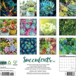 Willow Creek 2025 Succulents 12" x 12" Monthly Wall Calendar (45022)