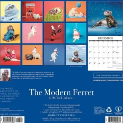Willow Creek 2025 The Modern Ferret 12" x 12" Monthly Wall Calendar (43967) Discount