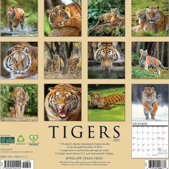 Willow Creek 2025 Tigers 12" x 12" Yearly Wall Calendar (45114) Clearance