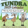 Willow Creek 2025 Tundra Comics 12" x 12" Monthly Wall Calendar (45176) Clearance