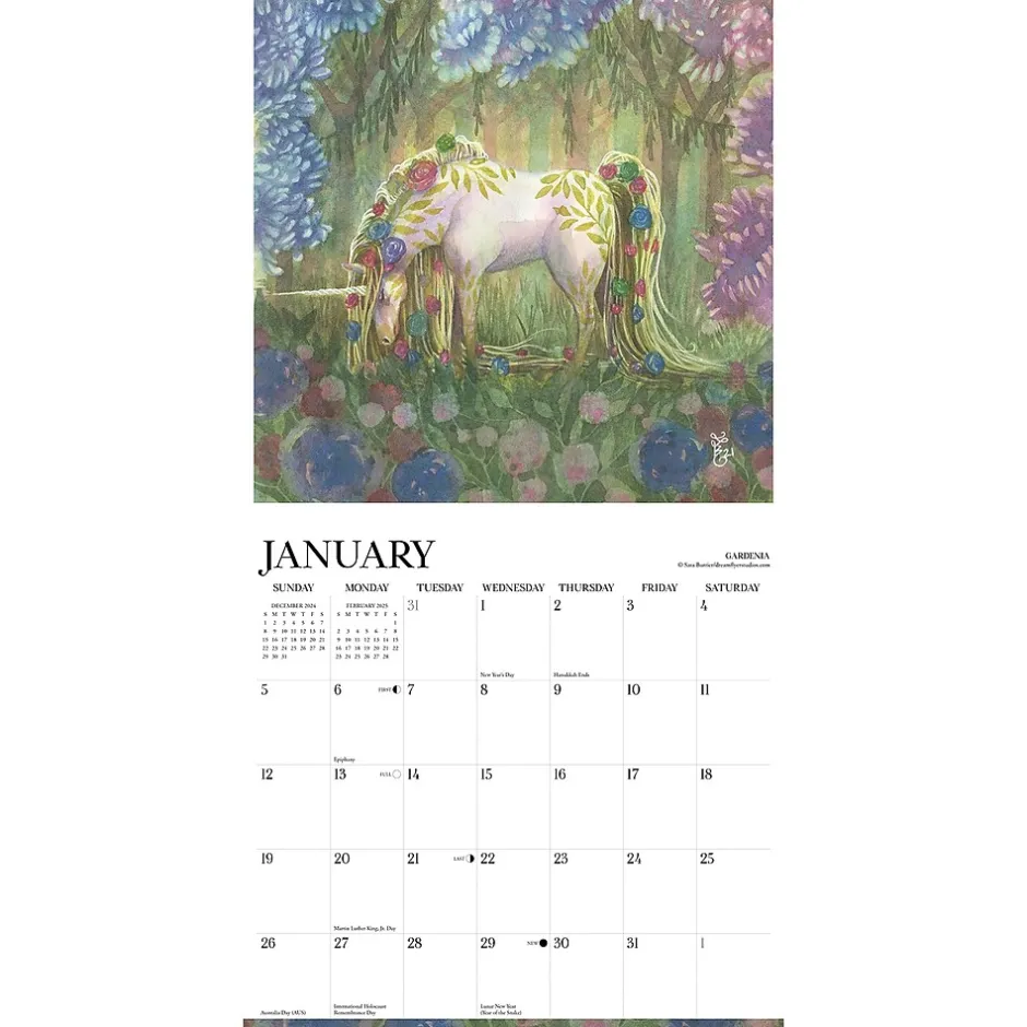 Willow Creek 2025 Unicorns 12" x 12" Monthly Wall Calendar (45220) Online