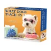 Willow Creek 2025 What Dogs Teach Us 6" x 5.5" Day-to-Day Calendar (41116) Online