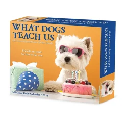 Willow Creek 2025 What Dogs Teach Us 6" x 5.5" Day-to-Day Calendar (41116) Online