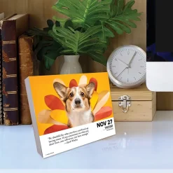 Willow Creek 2025 What Dogs Teach Us 6