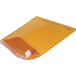 Staples 12-1/2" x 18" Bubble Cushioned Mailer, #6, 25/Carton (B859SSR)* Bubble Mailers