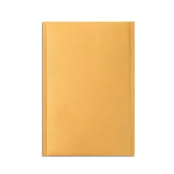 Staples 4.63" x 6.75" Self-Sealing Bubble Mailer, #000, 25/Carton (ST56655B)* Bubble Mailers