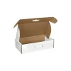The Packaging Wholesalers 18-1/4" x 11-3/8" x 4-1/2" Carrying Case Mailer with Plastic Handle* Corrugated Mailers
