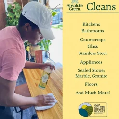 Absolute Green Natural All-Purpose Cleaner, Fresh Lemon Scent, 25 Fl Oz., 6/Carton (AG2-ST-6)