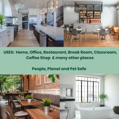 Absolute Green Natural All-Purpose Cleaner, Peppermint Scent, 25 Fl Oz., 6/Carton (AG14-ST-6)