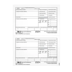 2024 W-2 1-Part Copy 1/D Laser/Inkject Tax Forms, 100/pack (LW2ERQ) Tax Forms