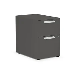 Outlet Radii 2-Drawer Mobile Vertical File Cabinet, Letter/Legal Size, Lockable, 21"H x 15"W x 24"D, Flint (APGMBP249TFN001) File Cabinets