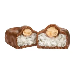 Chocolate<Almond Joy Snack Size Milk Chocolate Candy Bar, 20.1 oz., 2/Pack (246-00348)