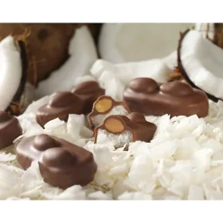 Chocolate<Almond Joy Snack Size Milk Chocolate Candy Bar, 20.1 oz., 2/Pack (246-00348)