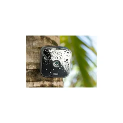 Security Cameras & Systems<Blink Amazon Indoor/Outdoor Wireless Security Camera, Black (B086DKMSSM)