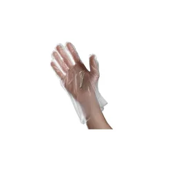 Ambitex P6505 Series Polyethylene Disposable Gloves, L, Clear, 500/Box (PLG6505)