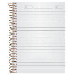 Ampad 1-Subject Professional Notebooks, 5