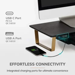 Anji Mountain Mango Wood & Metal Monitor Stand with Two USB Ports and Drawer, (MS-BLK-06GLD-PD)* Monitor Mounts & Stands