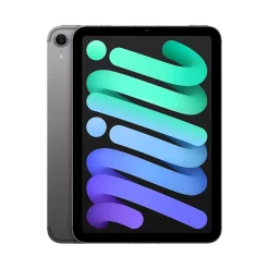 Apple iPad mini (A17 Pro) 8.3" Tablet, Wi-Fi + Cellular, 256GB, Space Gray (MXPT3LL/A)