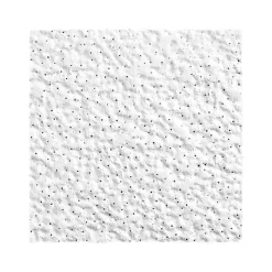 Ceiling Tiles<Armstrong ARMATUFF Lay-In Square Edge Ceiling Tile, 24" x 48", White, 8/Carton (BP860)