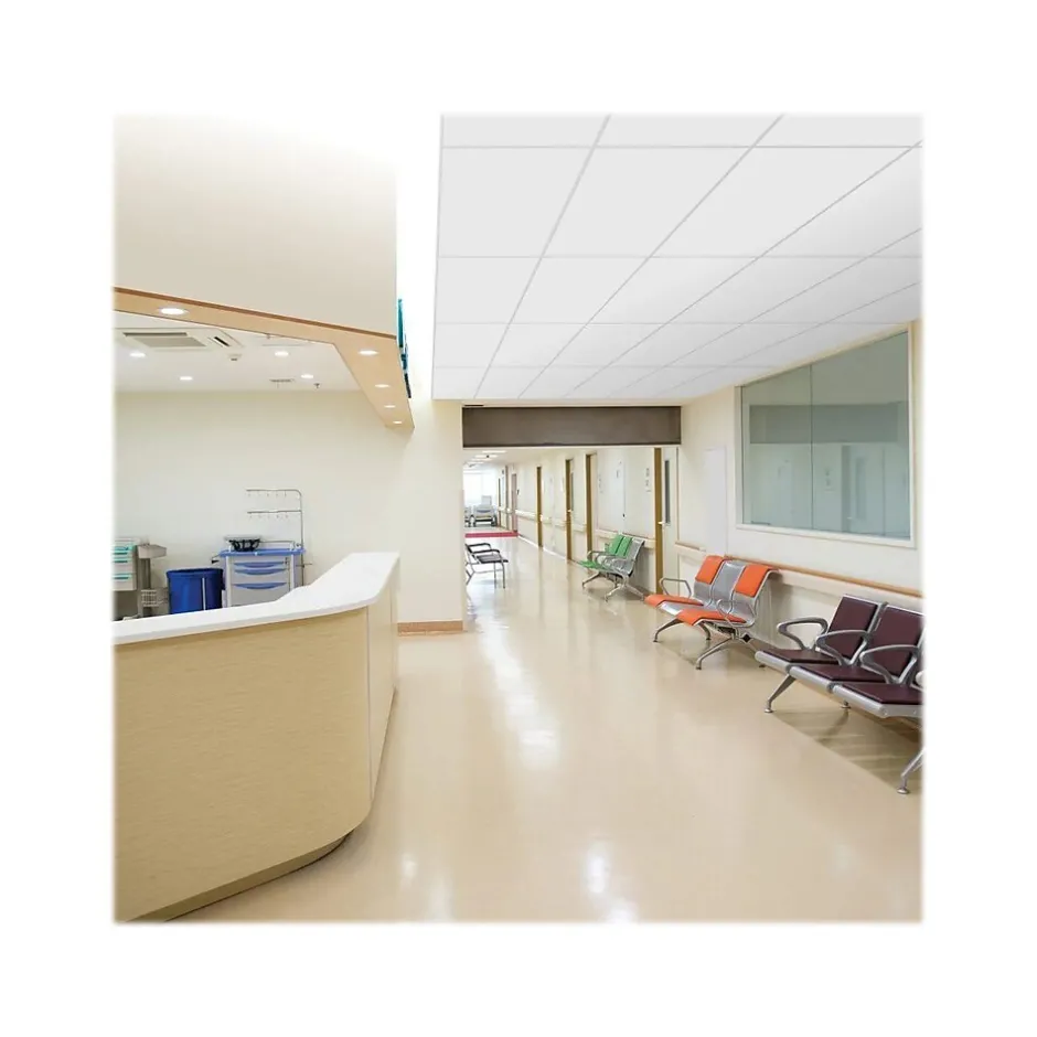 Ceiling Tiles<Armstrong CALLA Health Zone Square Edge Ceiling Tile 15/16, 24" x 24", White, 10/Carton (BP2230)