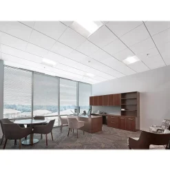 Ceiling Tiles<Armstrong CANYON Beveled Tegular Edge Ceiling Tile, 24" x 24", White, 16/Carton (BP1492A)