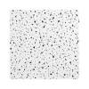 Ceiling Tiles<Armstrong CERAMAGUARD Fine Fissured Square Edge Ceiling Tile, 24" x 48", White, 6/Carton (BP608A)
