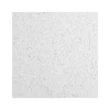 Ceiling Tiles<Armstrong CERAMAGUARD Square Edge Ceiling Tile, 24" x 48", White, 6/Carton (BP605C)