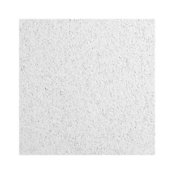 Ceiling Tiles<Armstrong CERAMAGUARD Square Edge Ceiling Tile, 24" x 48", White, 6/Carton (BP605C)