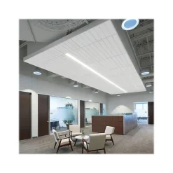 Ceiling Tiles<Armstrong CIRRUS Second Look Beveled Tegular Edge Ceiling Tile 15/16, 24" x 48", White, 6/Carton (BP513A)