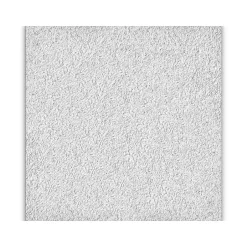Ceiling Tiles<Armstrong CIRRUS Tegular Edge Ceiling Tile 9/16, 24" x 24", White, 12/Carton (BP589B)