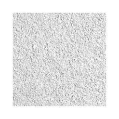 Ceiling Tiles<Armstrong CIRRUS Tegular Edge Ceiling Tile 9/16, 24" x 24", White, 12/Carton (BP589B)