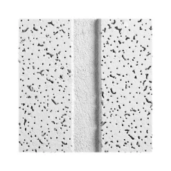 Ceiling Tiles<Armstrong CORTEGA Second Look Angled Tegular Edge Ceiling Tile, 24" x 48", White, 8/Carton (BP2758C)