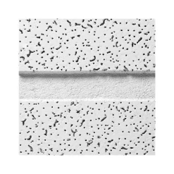 Ceiling Tiles<Armstrong CORTEGA Second Look Tegular Edge Ceiling Tile, 24" x 48", White, 10/Carton (BP2767D)