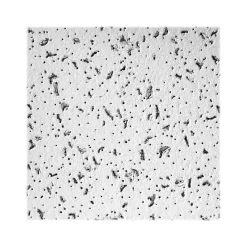 Ceiling Tiles<Armstrong CORTEGA Square Lay-In Edge Ceiling Tile, 24" x 48", White, 6/Carton (BP823A)