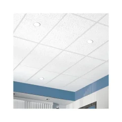 Ceiling Tiles<Armstrong CORTEGA Tegular Edge Ceiling Tile, 24" x 48", White, 10/Carton (BP703B)