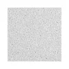 Ceiling Tiles<Armstrong DUNE Angled Tegular Edge Ceiling Tile, 24" x 24", White, 12/Carton (BP1853)