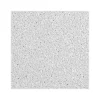 Ceiling Tiles<Armstrong DUNE Beveled Tegular Edge Ceiling Tile, 24" x 24", White, Dozen (BP1852)