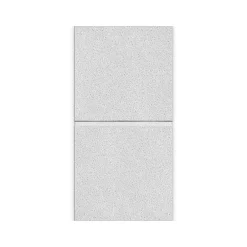 Ceiling Tiles<Armstrong DUNE Second Look Tegular Edge Ceiling Tile, 24" x 48", White, 10/Carton (BP2722A)