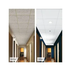Ceiling Tiles<Armstrong DUNE Second Look Tegular Edge Ceiling Tile, 24" x 48", White, 10/Carton (BP2722A)