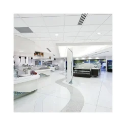 Ceiling Tiles<Armstrong DUNE Second Look Tegular Edge Ceiling Tile, 24" x 48", White, 10/Carton (BP2712A)