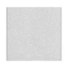 Ceiling Tiles<Armstrong DUNE Tegular Edge Ceiling Tile 15/16, 24" x 24", White, 16/Carton (BP1774)