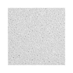 Ceiling Tiles<Armstrong DUNE Tegular Edge Ceiling Tile 15/16, 24" x 24", White, 16/Carton (BP1774)