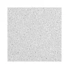 Ceiling Tiles<Armstrong DUNE Tegular Edge Ceiling Tile, 24" x 48", White, 8/Carton (BP1776A)