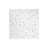 Ceiling Tiles<Armstrong FINE FISSURED Beveled Tegular Edge Ceiling Tile, 24" x 24", White, 16/Carton (BP1734)
