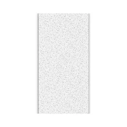 Ceiling Tiles<Armstrong FINE FISSURED Square Lay-In Edge Ceiling Tile, 24" x 48", White, 12/Carton (BP1729A)