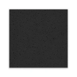 Ceiling Tiles<Armstrong FINE FISSURED Square Lay-In Edge Ceiling Tile, 24" x 24", Tech Black, 16/Carton (BP1728ABL)