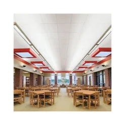 Ceiling Tiles<Armstrong FINE FISSURED Square Lay-In Edge Ceiling Tile, 24" x 24", White, 12/Carton (BP1713)