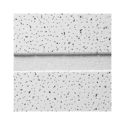 Ceiling Tiles<Armstrong FINE FISSURED Second Look I, Angled Tegular Edge Ceiling Tile 15/16, 24" x 48", White, 10/Carton (BP1761C)