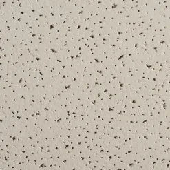 Ceiling Tiles<Armstrong FINE FISSURED Square Lay-In Edge Ceiling Tile, 24" x 48", Medium Taupe, 12/Carton (BP1729AMT)