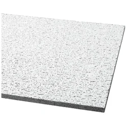 Ceiling Tiles<Armstrong FISSURED Angled Tegular Edge Ceiling Tile, 24" x 24", White, 16/Carton (BP705A)